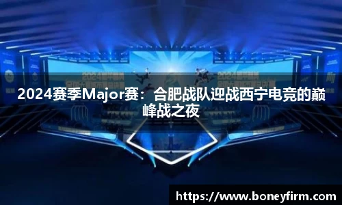 2024赛季Major赛：合肥战队迎战西宁电竞的巅峰战之夜